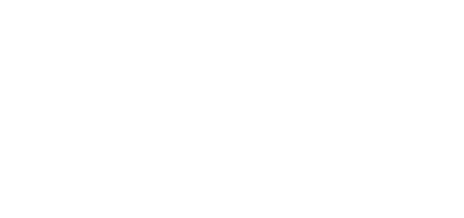 SELTEKA_logo